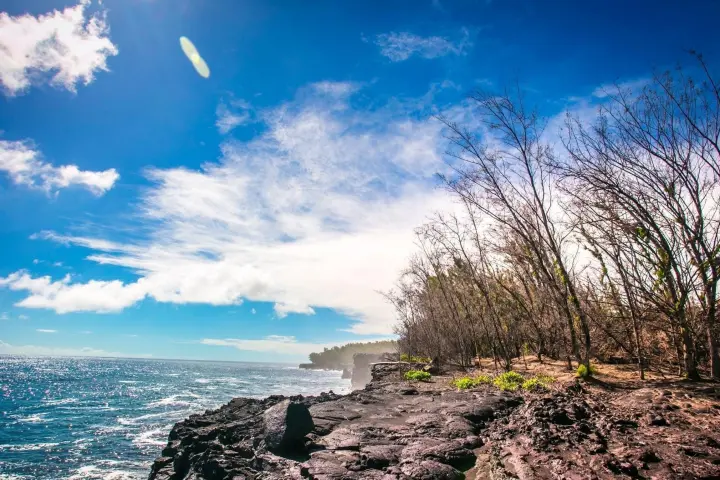 a large body of water