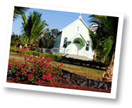 a close up of a flower