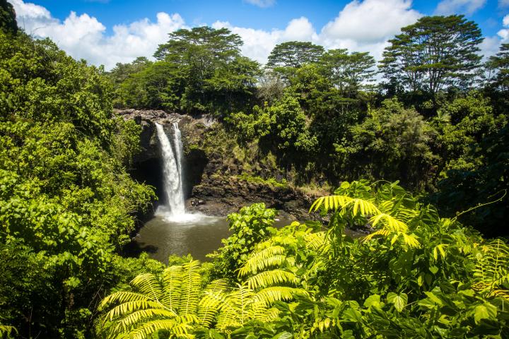 a large waterfall in a forest