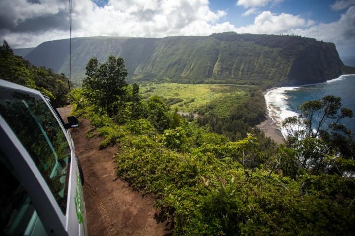 a path with trees on the side of a mountain