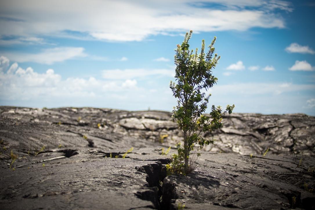 Evening Volcano Explorer Kona Departures | KapohoKine Adventures